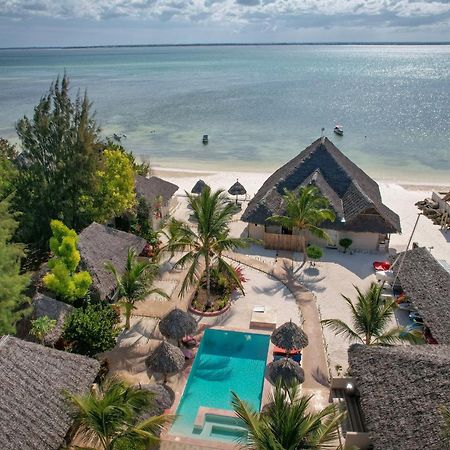 Horizon Of Michamvi Beach Zanzibar Eksteriør billede