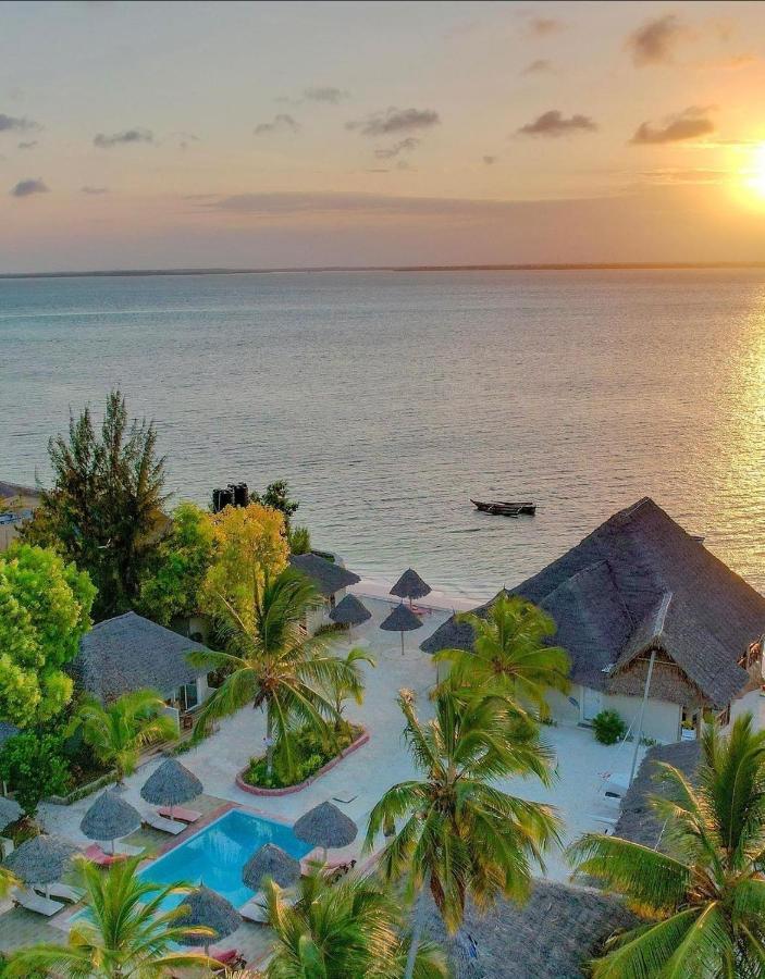 Horizon Of Michamvi Beach Zanzibar Eksteriør billede