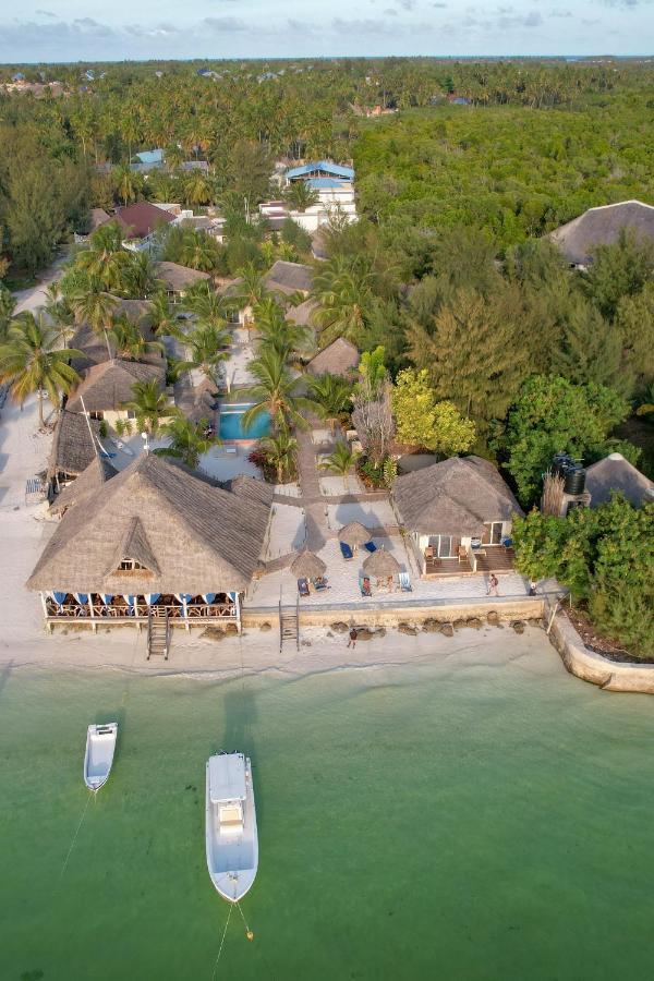 Horizon Of Michamvi Beach Zanzibar Eksteriør billede