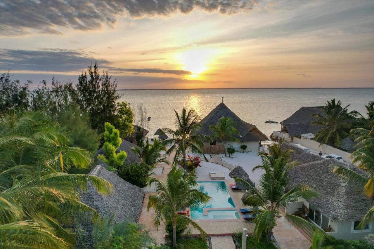 Horizon Of Michamvi Beach Zanzibar Eksteriør billede