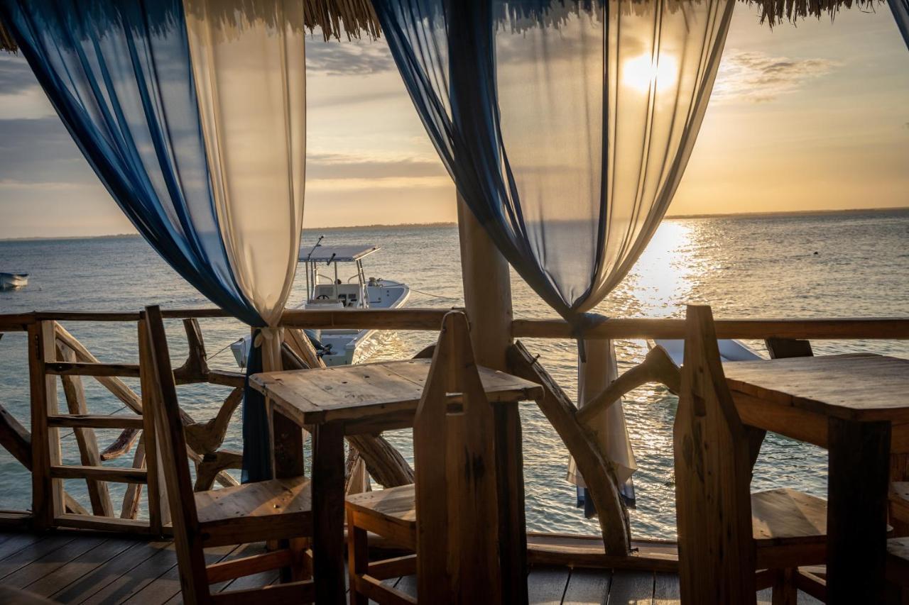 Horizon Of Michamvi Beach Zanzibar Eksteriør billede