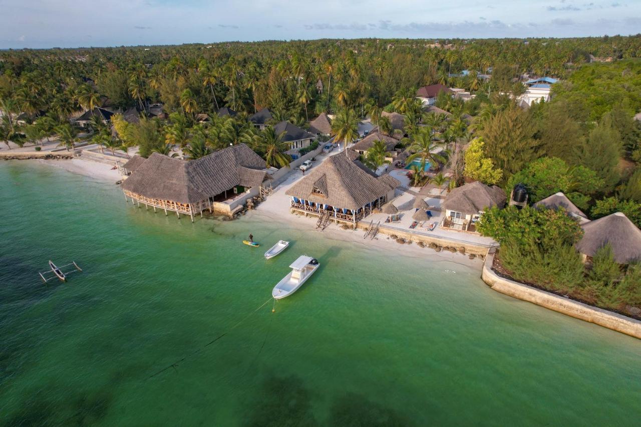 Horizon Of Michamvi Beach Zanzibar Eksteriør billede